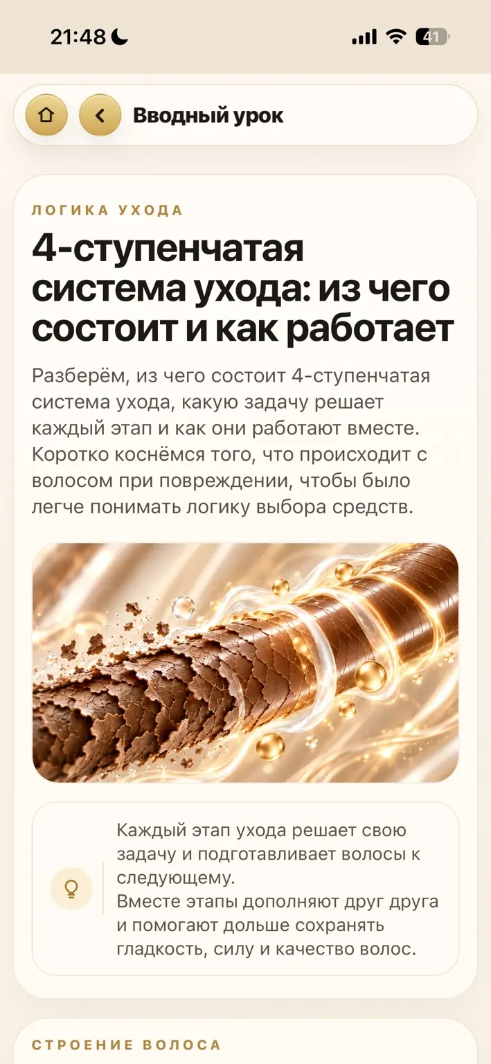 Пример вводного урока